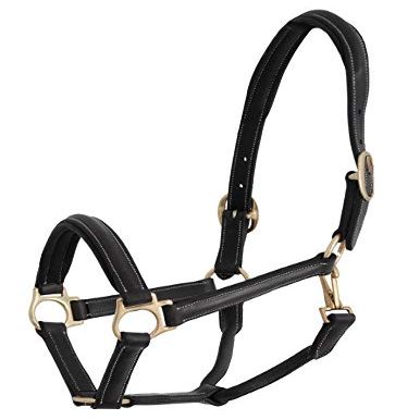 Jacson Horse Halter Leather Halter Cancun Leather Halter Cancun Black Full 587073