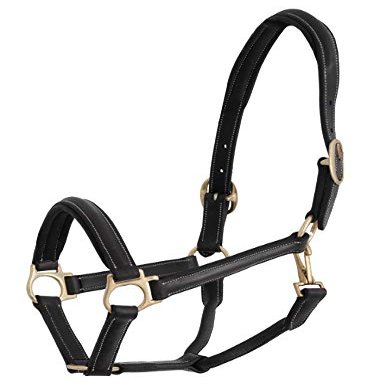 Jacson Horse Halter Leather Halter Cancun Leather Halter Cancun Black Full 587073