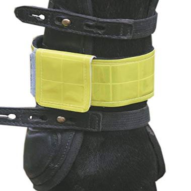 Jacson Reflector for Horses Reflector of Legs Neon Leg reflectors neon Neon Yellow One Size 580333
