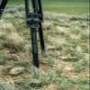 BOG FieldPod Magnum Hunting Rest with Ultra-Stable Dual Frame Construction, Bubble Level, Spiked All-Terrain Feet, Non-Marring Hands-Free Gun Rest, and Tension Knobs for Hunting, Shooting, and Outdoor view 4