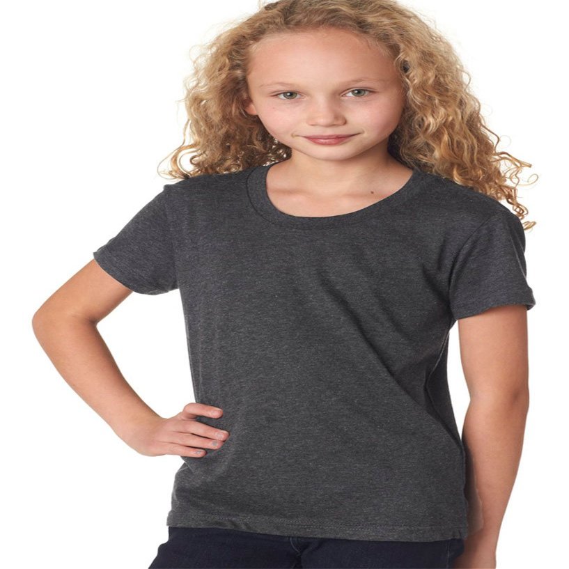 Bella + Canvas Toddler Jersey Short Sleeve T-Shirt (4 Years) (Dark Gray Heather)