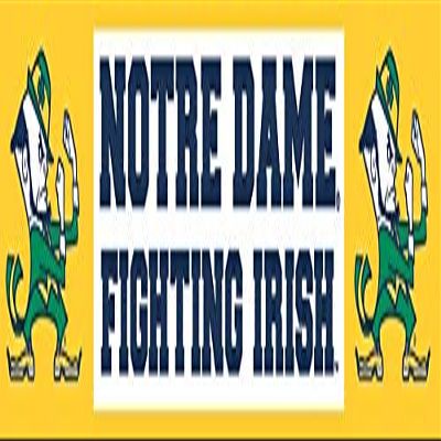 12 Inch Notre Dame Fighting Irish Decal University of Notre Dame ND Logo Removable Wall Sticker Art NCAA Home Room Decor 12 1/2 by 2 Inches