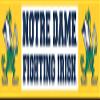 12 Inch Notre Dame Fighting Irish Decal University of Notre Dame ND Logo Removable Wall Sticker Art NCAA Home Room Decor 12 1/2 by 2 Inches view 1