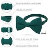 Bow Tie House Men's Classic Pre-Tied Bow Tie Formal Solid Tuxedo (Large, Sea Green) view 2