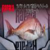 Rapala Tairaba Bait Reel, Soldiil, 6.6 gal (200 L), 7.0:1, 6.2 oz (202 g), #1-200 m, Left Handle, Offshore Casting view 2