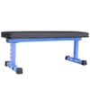 REP Fitness Flat Weight Bench, FB-3000, Blue, Heavy Duty Workout Bench For Home Gym, Folding Fitness Equipment For Strength Training, Adjustable Utility Platform For Dumbbells, Barbell view 1