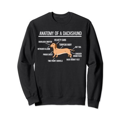 Anatomy Of A Dachshund Sweatshirt - Cute Funny Dog Puppy