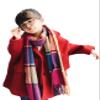 Jueshanzj Children's Imitated Cashmere Fabric Scarves Colorful Plaid One Size(63X13inch) view 1