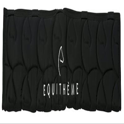 EKKIA (Ekia) 3338025589123 Horse Riding Equipment Protector Black EQUITHEME Protect.Box Door BLK 935070200, oner Size, Other