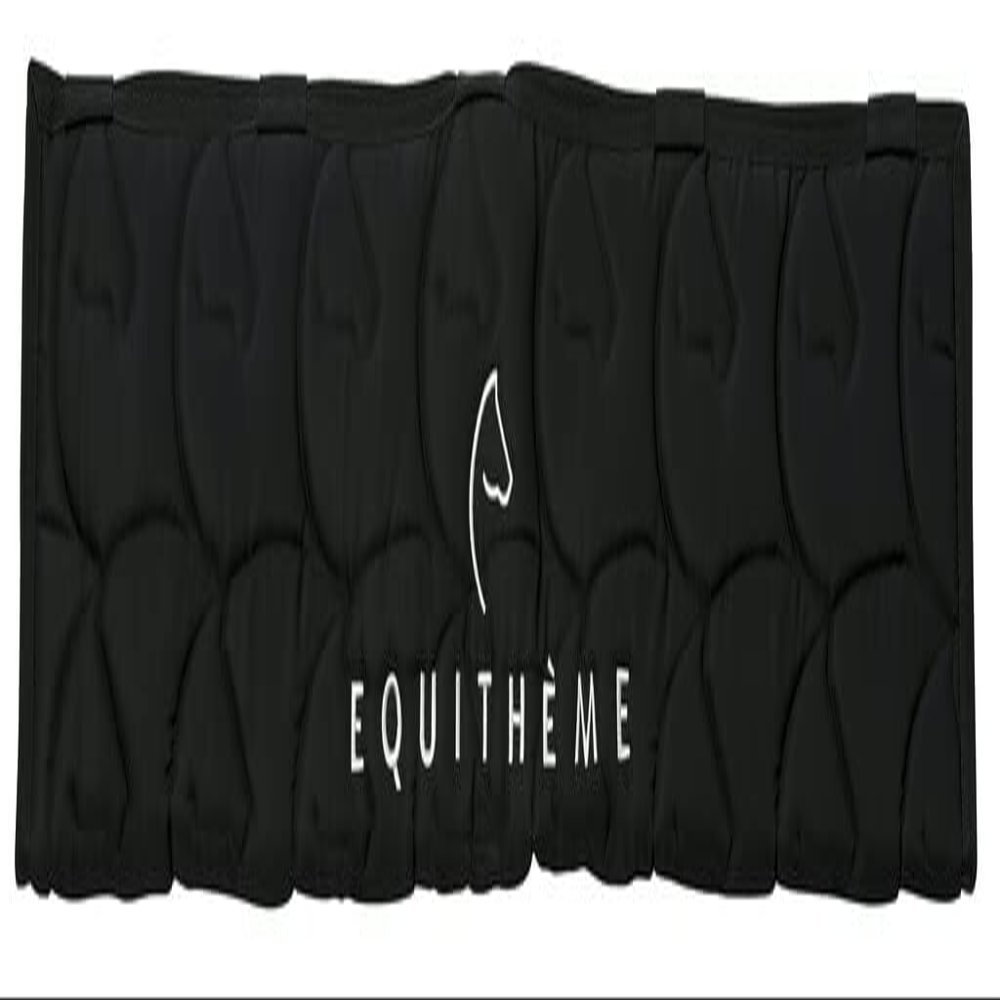 EKKIA (Ekia) 3338025589123 Horse Riding Equipment Protector Black EQUITHEME Protect.Box Door BLK 935070200, oner Size, Other