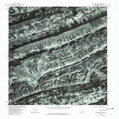 YellowMaps Sneedville TN topo map, 1:24000 Scale, 7.5 X 7.5 Minute, Historical, 1976, Updated 1981, 27.4 x 22 in - Polypropylene