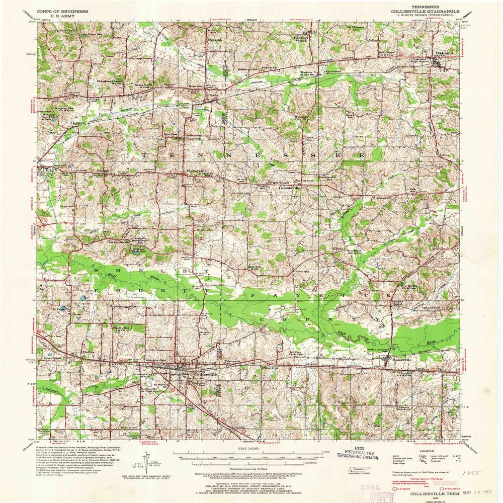 YellowMaps Collierville TN topo map, 1:62500 Scale, 15 X 15 Minute, Historical, 1943, Updated 1964, 21 x 17 in - Polypropylene
