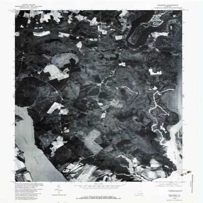 YellowMaps Brandon VA topo map, 1:24000 Scale, 7.5 X 7.5 Minute, Historical, 1978, Updated 1983, 26.7 x 21.9 in - Polypropylene