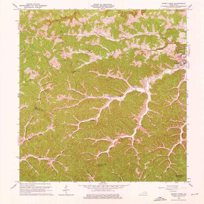 YellowMaps Sandy Hook KY topo map, 1:24000 Scale, 7.5 X 7.5 Minute, Historical, 1962, Updated 1976, 27 x 22 in - Tyvek