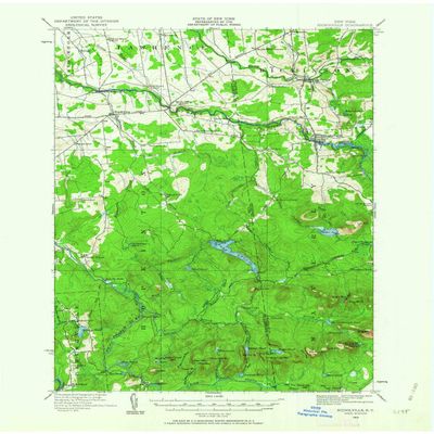 YellowMaps Nicholville NY topo map, 1:62500 Scale, 15 X 15 Minute, Historical, 1919, Updated 1963, 21 x 17 in - Tyvek
