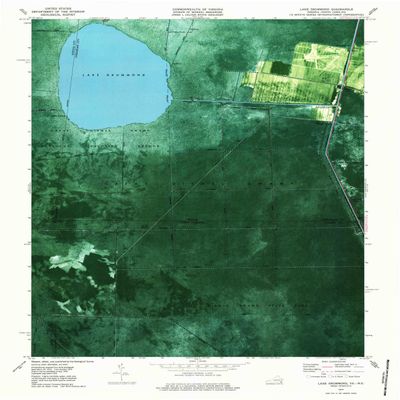 YellowMaps Lake Drummond VA topo map, 1:24000 Scale, 7.5 X 7.5 Minute, Historical, 1977, Updated 1987, 26.9 x 22 in - Polypropylene