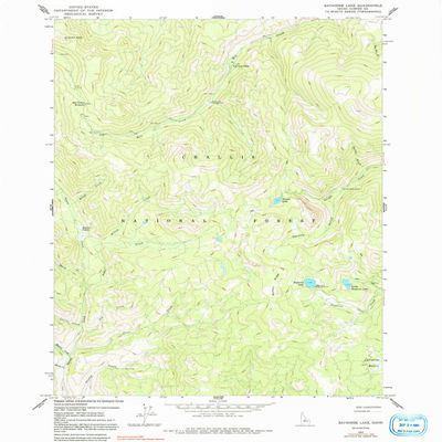 YellowMaps Bayhorse Lake ID topo map, 1:24000 Scale, 7.5 X 7.5 Minute, Historical, 1963, Updated 1991, 26.8 x 22 in - Polypropylene