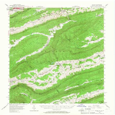 YellowMaps Bland VA topo map, 1:62500 Scale, 15 X 15 Minute, Historical, 1956, Updated 1967, 21 x 17.1 in - Polypropylene