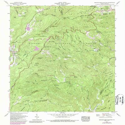 YellowMaps Grandfather Mountain NC topo map, 1:24000 Scale, 7.5 X 7.5 Minute, Historical, 1960, Updated 1988, 26.9 x 22.1 in - Polypropylene
