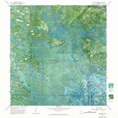 YellowMaps Waycross SE GA topo map, 1:24000 Scale, 7.5 X 7.5 Minute, Historical, 1967, Updated 1968, 26.8 x 24 in - Polypropylene
