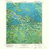 YellowMaps Mizpah NE MN topo map, 1:24000 Scale, 7.5 X 7.5 Minute, Historical, 1971, Updated 1974, 27.3 x 21.2 in - Polypropylene view 1