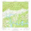 Well Spring TN topo map, 1:24000 Scale, 7.5 X 7.5 Minute, Historical, 1952, Updated 1978, 27.5 x 22 in - Polypropylene view 1