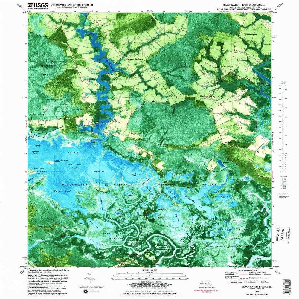 YellowMaps Blackwater River MD topo map, 1:24000 Scale, 7.5 X 7.5 Minute, Historical, 1982, Updated 1983, 26.8 x 22 in - Polypropylene
