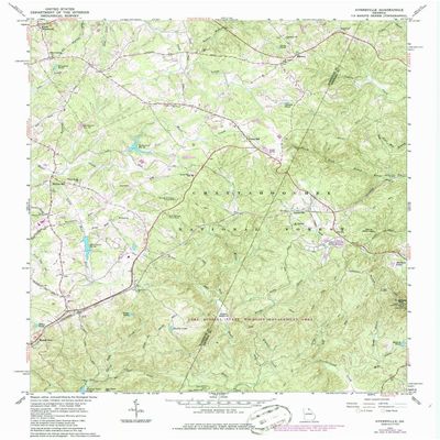 YellowMaps Ayersville GA topo map, 1:24000 Scale, 7.5 X 7.5 Minute, Historical, 1964, Updated 1986, 26.9 x 22 in - Polypropylene