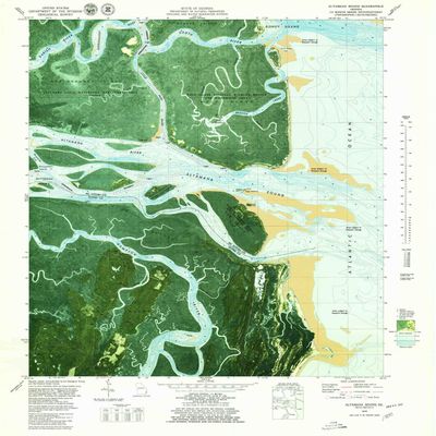 YellowMaps Altamaha Sound GA topo map, 1:24000 Scale, 7.5 X 7.5 Minute, Historical, 1979, Updated 1979, 27.8 x 24 in - Polypropylene