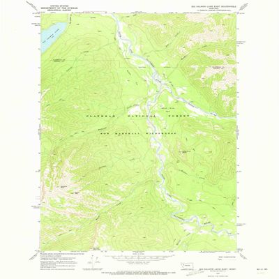 Big Salmon Lake East MT topo map, 1:24000 Scale, 7.5 X 7.5 Minute, Historical, 1970, Updated 1973, 26.8 x 22 in - Polypropylene