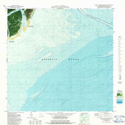 YellowMaps Tybee Island South GA topo map, 1:24000 Scale, 7.5 X 7.5 Minute, Historical, 1979, Updated 1979, 27.8 x 23 in - Polypropylene