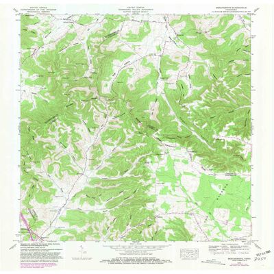 YellowMaps Beechgrove TN topo map, 1:24000 Scale, 7.5 X 7.5 Minute, Historical, 1953, Updated 1981, 27.5 x 22.1 in - Polypropylene