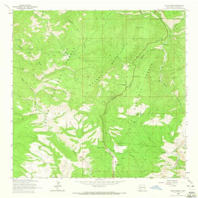 YellowMaps Saliz Pass NM topo map, 1:24000 Scale, 7.5 X 7.5 Minute, Historical, 1963, Updated 1965, 27 x 21.8 in - Tyvek