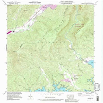 YellowMaps Ashford NC topo map, 1:24000 Scale, 7.5 X 7.5 Minute, Historical, 1993, Updated 1996, 26.9 x 22 in - Polypropylene