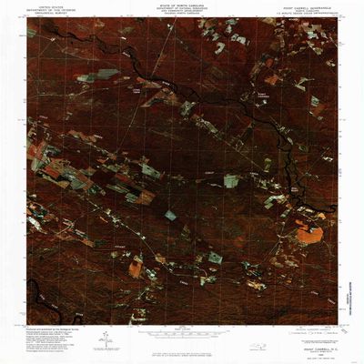 YellowMaps Point Caswell NC topo map, 1:24000 Scale, 7.5 X 7.5 Minute, Historical, 1980, Updated 1985, 26.8 x 22 in - Polypropylene