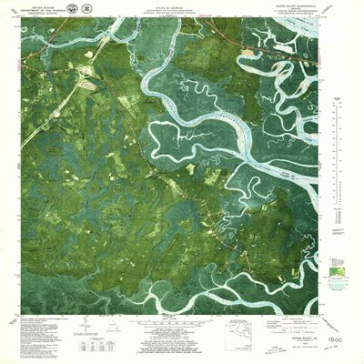 YellowMaps Dover Bluff GA topo map, 1:24000 Scale, 7.5 X 7.5 Minute, Historical, 1979, Updated 1980, 27.8 x 24 in - Polypropylene