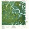 YellowMaps Dover Bluff GA topo map, 1:24000 Scale, 7.5 X 7.5 Minute, Historical, 1979, Updated 1980, 27.8 x 24 in - Polypropylene view 1