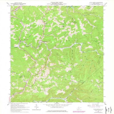 YellowMaps Little Birch WV topo map, 1:24000 Scale, 7.5 X 7.5 Minute, Historical, 1967, Updated 1977, 27 x 22 in - Polypropylene