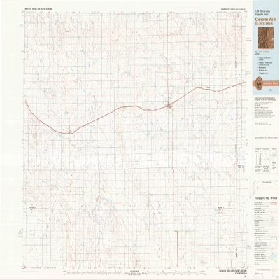Cheyenne Wells CO topo map, 1:100000 Scale, 30 X 60 Minute, Historical, 1981, Updated 1982, 24.1 x 43 in - Polypropylene