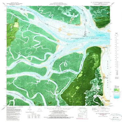 YellowMaps St Catherines Sound GA topo map, 1:24000 Scale, 7.5 X 7.5 Minute, Historical, 1979, Updated 1980, 27.8 x 23 in - Tyvek