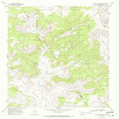 YellowMaps Alamosa Canyon NM topo map, 1:24000 Scale, 7.5 X 7.5 Minute, Historical, 1969, Updated 1972, 27 x 22 in - Polypropylene