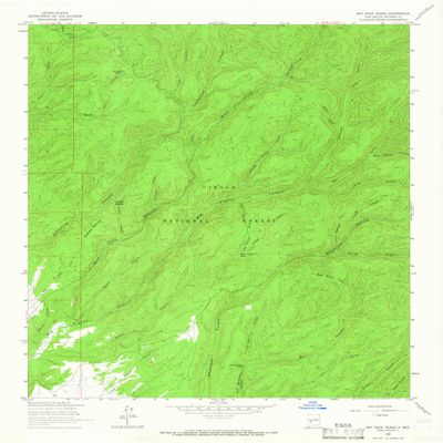 YellowMaps Bay Buck Peaks NM topo map, 1:24000 Scale, 7.5 X 7.5 Minute, Historical, 1964, Updated 1966, 27 x 22 in - Tyvek
