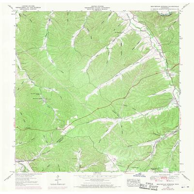 YellowMaps Beaverdam Springs TN topo map, 1:24000 Scale, 7.5 X 7.5 Minute, Historical, 1952, Updated 1970, 27.5 x 22 in - Polypropylene