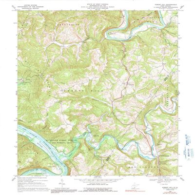 YellowMaps Forest Hill WV topo map, 1:24000 Scale, 7.5 X 7.5 Minute, Historical, 1968, Updated 1991, 26.9 x 22 in - Polypropylene