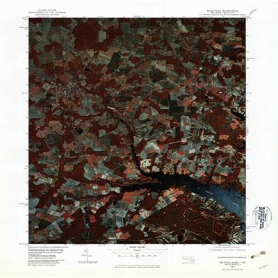YellowMaps Selbyville DE topo map, 1:25000 Scale, 7.5 X 7.5 Minute, Historical, 1980, Updated 1982, 26.9 x 22 in - Polypropylene