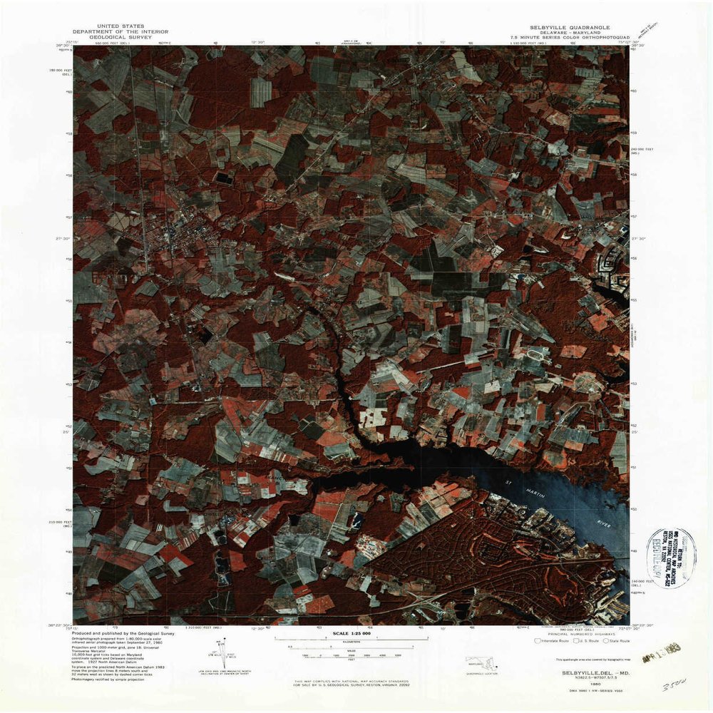 YellowMaps Selbyville DE topo map, 1:25000 Scale, 7.5 X 7.5 Minute, Historical, 1980, Updated 1982, 26.9 x 22 in - Polypropylene
