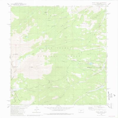 YellowMaps Mount Ouray CO topo map, 1:24000 Scale, 7.5 X 7.5 Minute, Historical, 1980, Updated 1981, 27.1 x 21.9 in - Tyvek