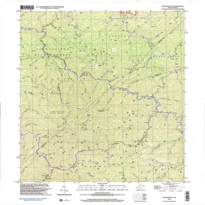Wilsondale WV topo map, 1:24000 Scale, 7.5 X 7.5 Minute, Historical, 1996, Updated 2003, 27.4 x 22.5 in - Polypropylene