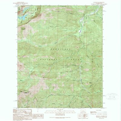 YellowMaps Blewett WA topo map, 1:24000 Scale, 7.5 X 7.5 Minute, Historical, 1989, Updated 1989, 27.1 x 22.1 in - Polypropylene