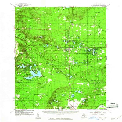 YellowMaps Baldwin MI topo map, 1:62500 Scale, 15 X 15 Minute, Historical, 1959, Updated 1960, 20.9 x 16.9 in - Polypropylene